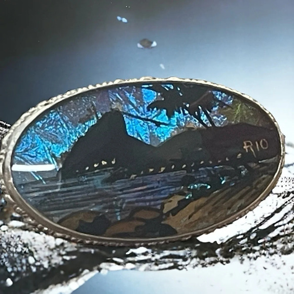 🦋RARE🦋Iridescent🦋Butterfly🦋Wing🦋Sterling Silver “Rio” Brooch - Picture 4 of 6